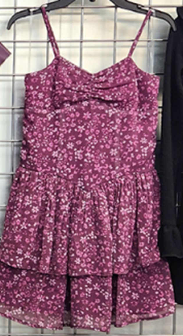 Y3253020 BERRY BEST SELLER CATALOG DRESSES FAIRE NEW TICKTOK TWEEN VERISHOP