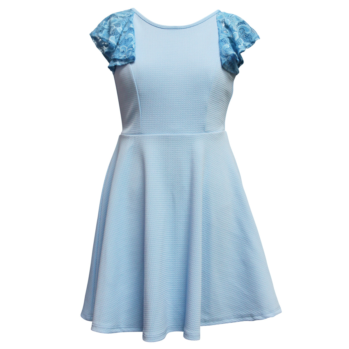 Lace Sleeve Skater Dress