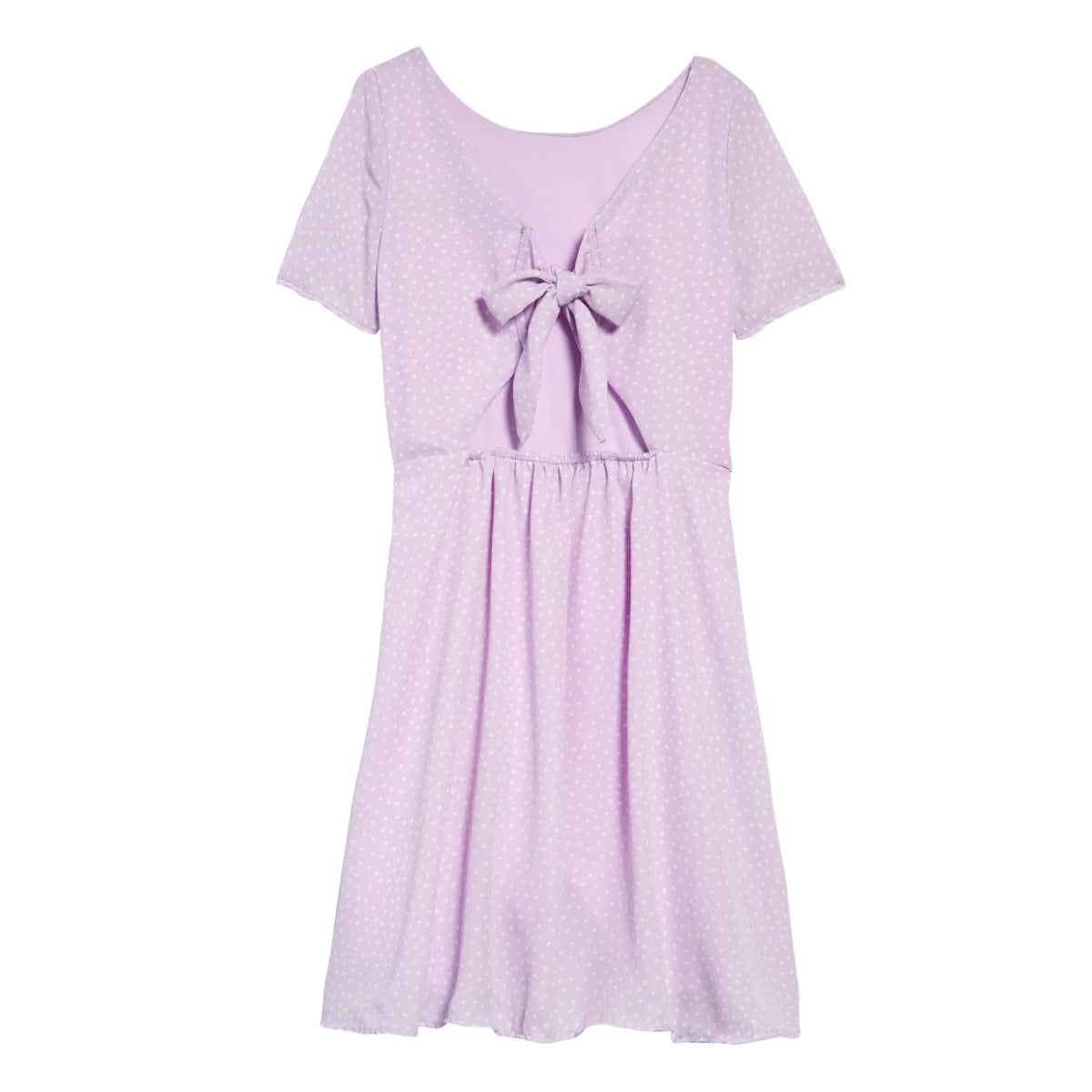 Pebble Polka Dot Princess Seam Dress