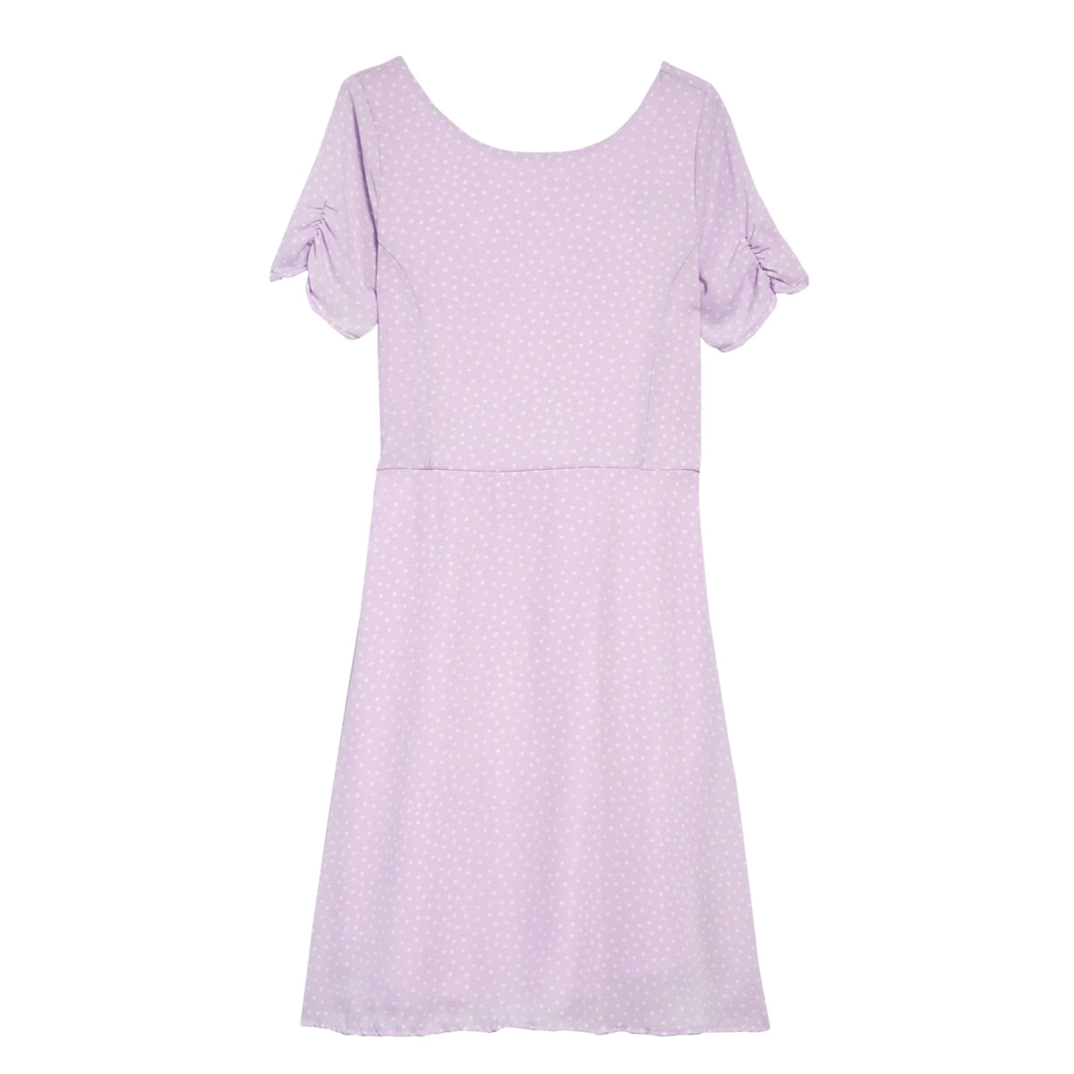 Pebble Polka Dot Princess Seam Dress