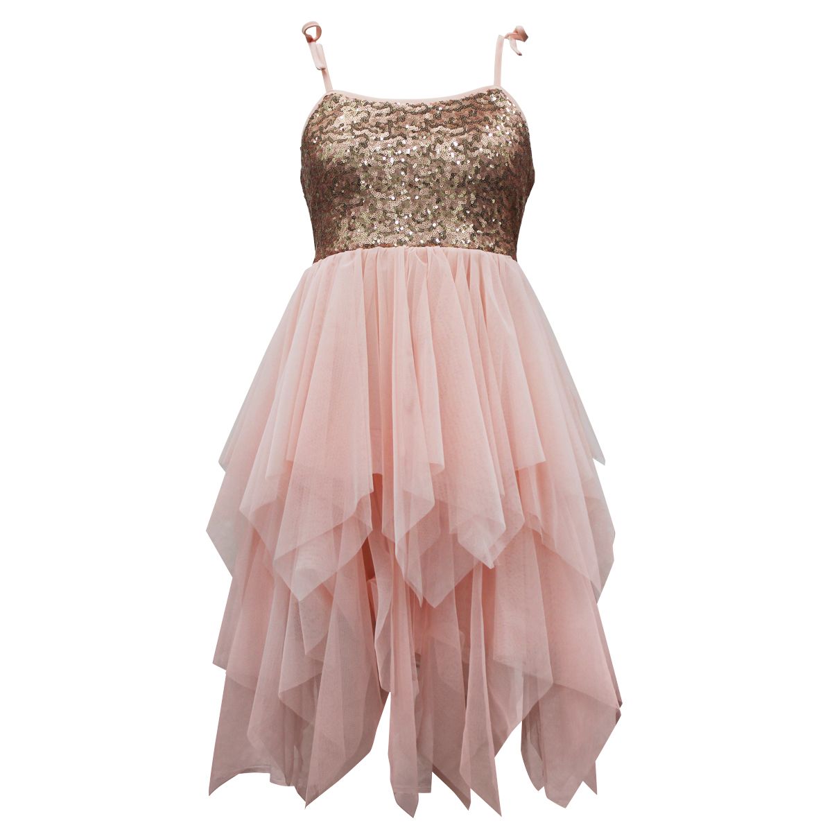 Y5242765 BLUSH BEST SELLER CATALOG DRESSES FAIRE NEW TICKTOK TWEEN VERISHOP