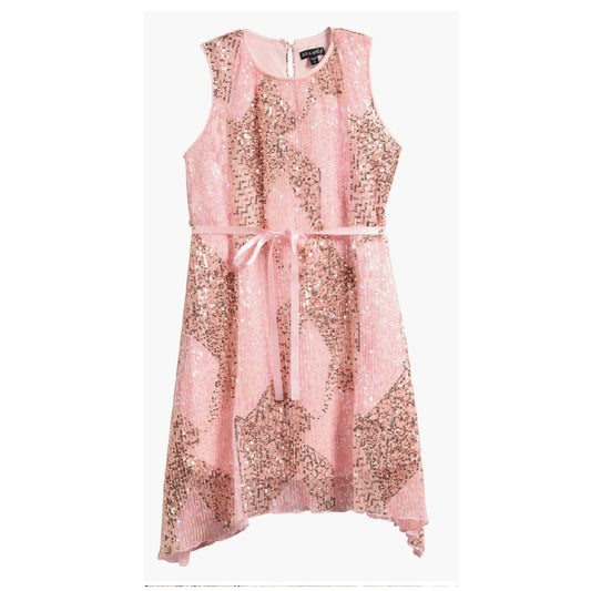Y5180936 BLUSH CATALOG DRESSES FAIRE FINAL SALE TIKTOK TWEEN VERISHOP