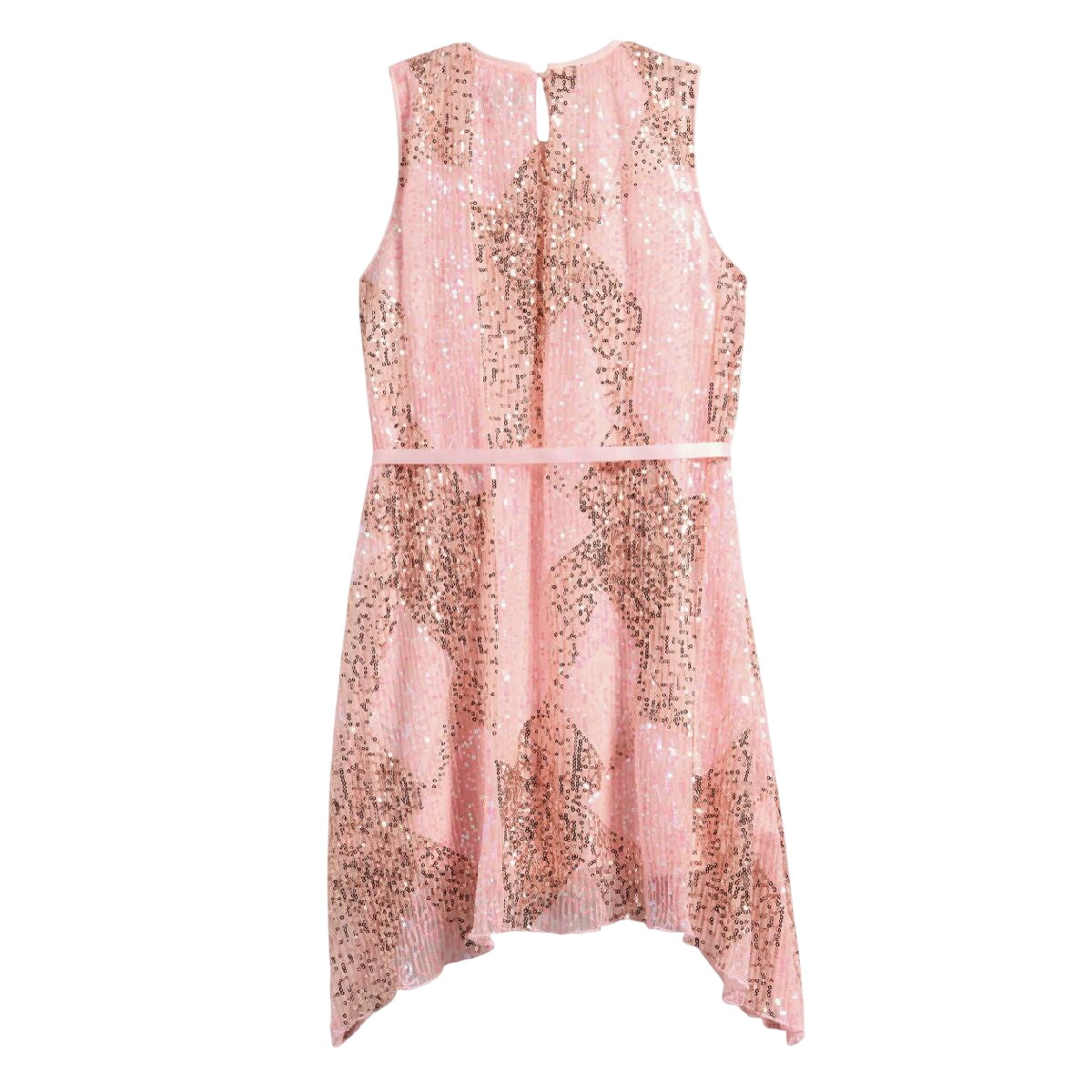 Y5180936 BLUSH CATALOG DRESSES FAIRE FINAL SALE TIKTOK TWEEN VERISHOP