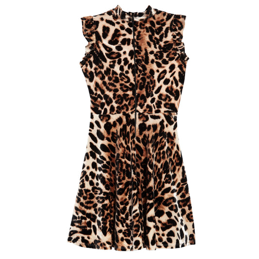 Leopard Print Velvet Skater Dress