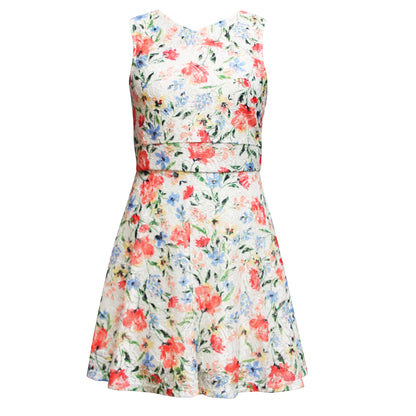 Printed Lace Skater Dress