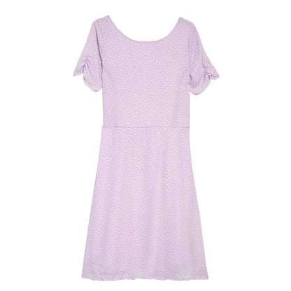 Pebble Polka Dot Princess Seam Dress